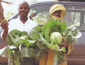 Food distribution, hygiene, water and sanitation and food ... Image 9